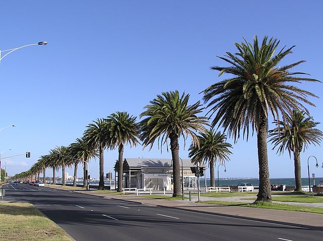 Albert Park Bayside Promenade