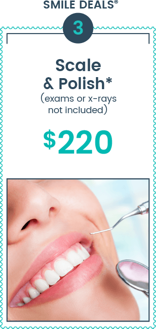 sd single promo dr hoff 2026 07 offer 03 kk
